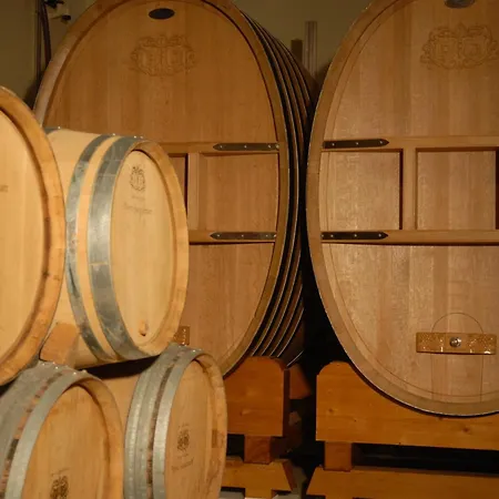 Bed & Breakfast La Champagne Ployez-jacquemart Ludes