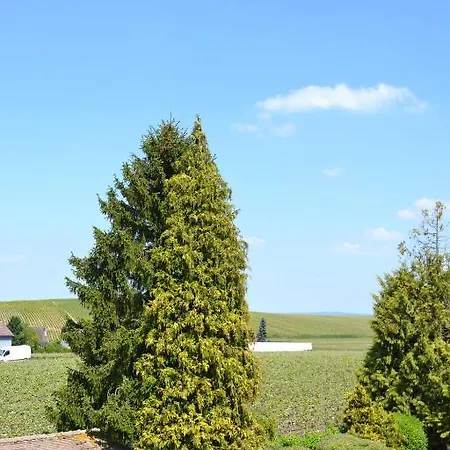 La Champagne Ployez-jacquemart 2*