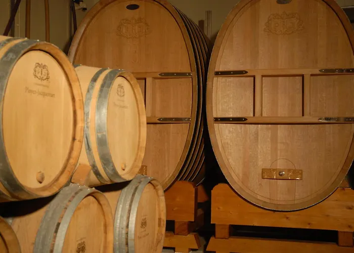 Bed & Breakfast La Champagne Ployez-jacquemart Ludes