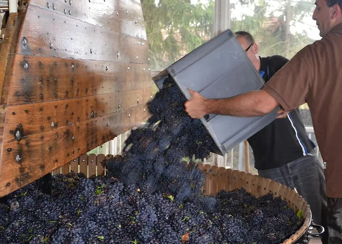 Bed & Breakfast La Champagne Ployez-jacquemart 3*