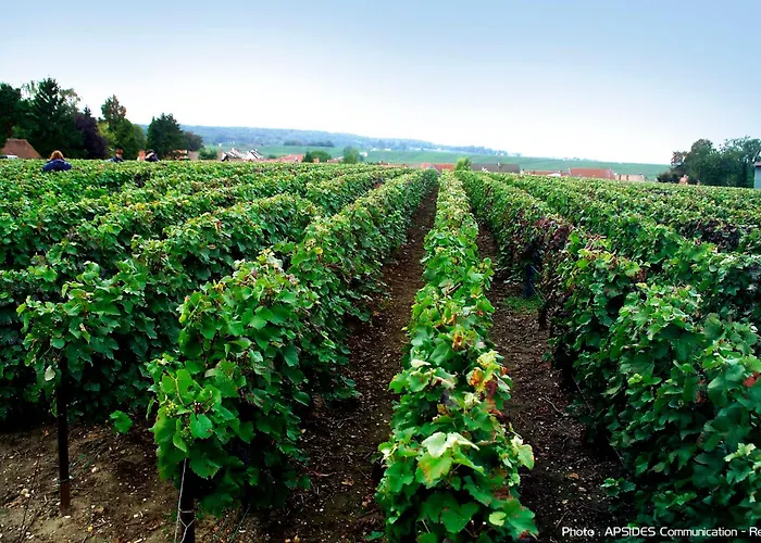 La Champagne Ployez-jacquemart Bed & Breakfast