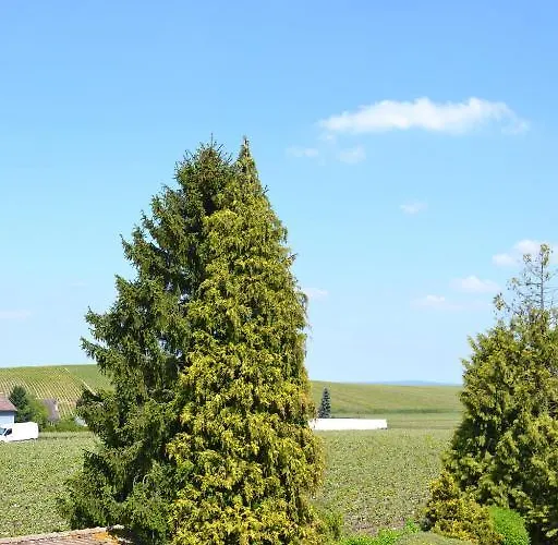 La Champagne Ployez-jacquemart 3*