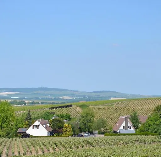 La Champagne Ployez-jacquemart Bed & Breakfast 3*